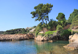 sant Feliu de Guíxols